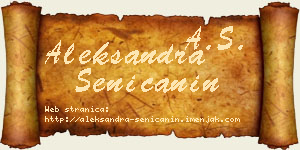 Aleksandra Seničanin vizit kartica